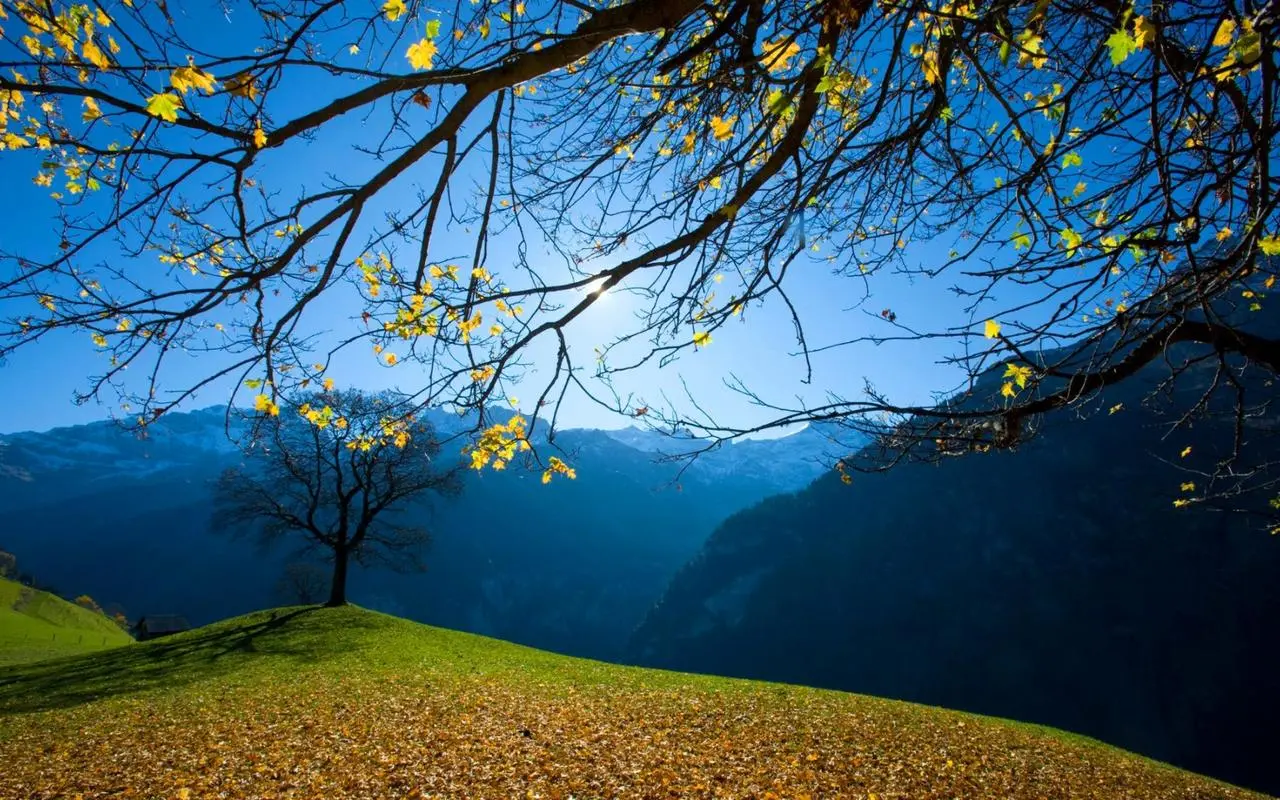 新型绿色智慧制造